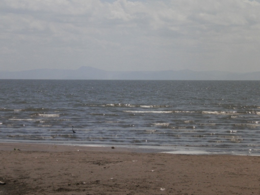 You can barely see the heron trolling on Lake Nicaragua's shoreline
